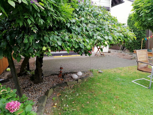 Douglasie Terrasse